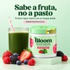 Bloom Greens, Fibra Y Probióticos 25 Porciones, Frutos Rojos