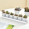 JoyHuaTrade 5 PCS Plastic Plant Tray Saucer, Rectangular Windowsill Plant