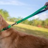 Hyhug Pets Upgraded Traffic Nylon 18 Inch Short Leash with
