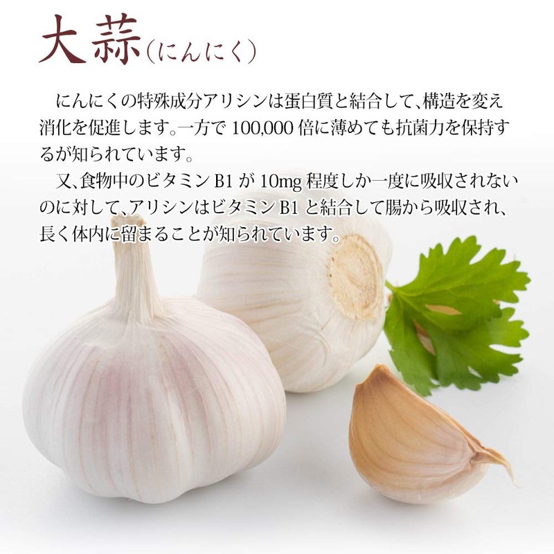 大日ヘルシーフーズ ローヤルゼリー 濃縮にんにくの力 30粒入×1袋 にんにく卵黄 ビタミンB1 サプリ