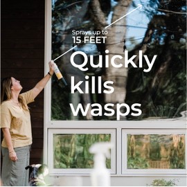 Wondercide - Wasp and Hornet Killer Aerosol Spray with Natural Essential Oils - Kill Wasps, Hornets,and Yellow Jackets - for Porch, Patio, and Outdoor Areas - Pet and Family Safe - 10 oz - 2 Pack