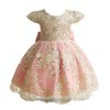 HNXDYY Baby Girl Tutu Dress Princess Lace Embroidery Wedding Party