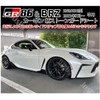 [Jusby] Carbon Pattern Stone Guard Sheet Protection Side Step Protector