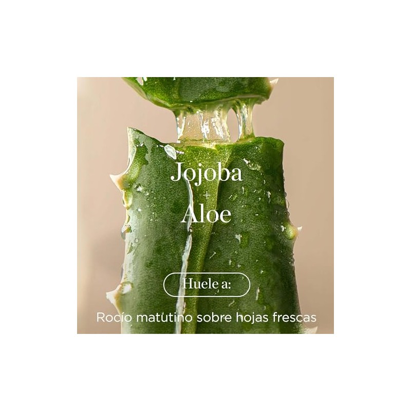 RAW SUGAR, The Scalp Restore Shampoo, Jojoba y Aloe, Limpia