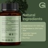 GREEN'S BEST Pure Himalayan Shilajit Capsules – Organic Fulvic Acid