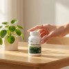 Rhamnose brain health lactic acid bacteria complex rhamnose acid elderly