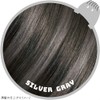Liese 1-Day Hair Monster, Silver Gray, Point Color, Change Your