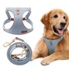 Dog Harness, No Pull Dogs Harness and Multi-Function Leash Set