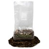 Pasteurized Horse Manure and Straw Mushroom Substrate | 5lb Mushroom