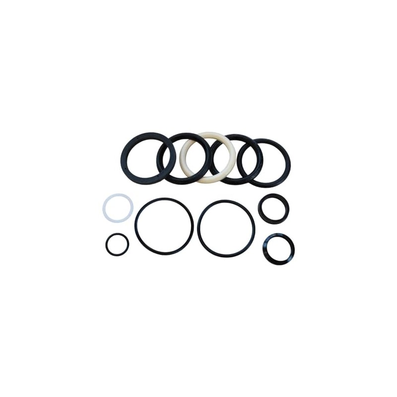 Aztec Hydraulics Replacement - Compatible with Seal Kit for Hyster