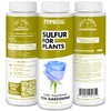 Sulfur Fertilizer for Plants, Micronutrient Sulfur for Boosted Growth and