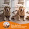 DingGreat 2-in-1 Pet Grooming Comb and Deshedding Brush, Self-Cleaning Dog