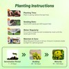 Outsidepride Black Mustard Seeds - 5000 Pcs Nutrient-Rich, Flavorful Annual