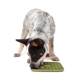 DOG by Dr. Lisa Lick Mat para perros – Tapete de aseo y baño – Almohadilla de alimentación lenta con ventosa para perros – 53 ventosas – Ideal para ce