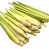 Fresh Lemongrass stalks - 24