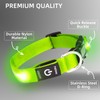 PetIsay Light up Dog Collar - High Visibility & Durable
