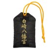 Kaiyoku Yakuchi Vigorous Amulet, Dragon Pattern, Skin Protection Gold Box,