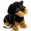 Carl Dick Dachshund, rough-haired dog with lead, sitting, black, dog,