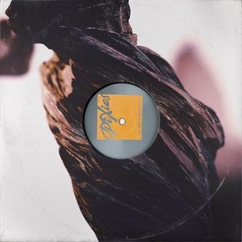 The Night the Zombies Came [VINYL]