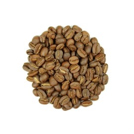 Guatamalan Coffee Bean Seeds (25) / Organic / DELICIOUS / Rare