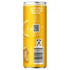 브레인이펙트 BRAINEFFECT 데일리 굿 진저 레몬 맛 330ml Braineffect Daily