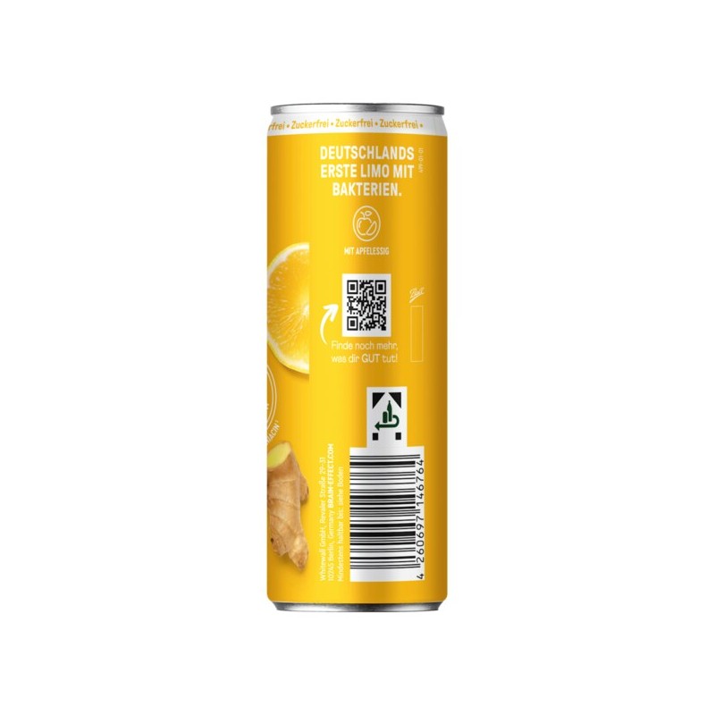 브레인이펙트 BRAINEFFECT 데일리 굿 진저 레몬 맛 330ml Braineffect Daily