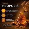 bedrop Propolis Nail Serum - High Dose Skin Care for
