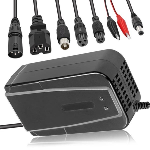 Tnvodejo 60V 3A Lead Acid Battery Charger (Not for Li
