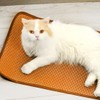 WBZOWRB 1 Item Pet Mat Cooling Mat for Dogs Self