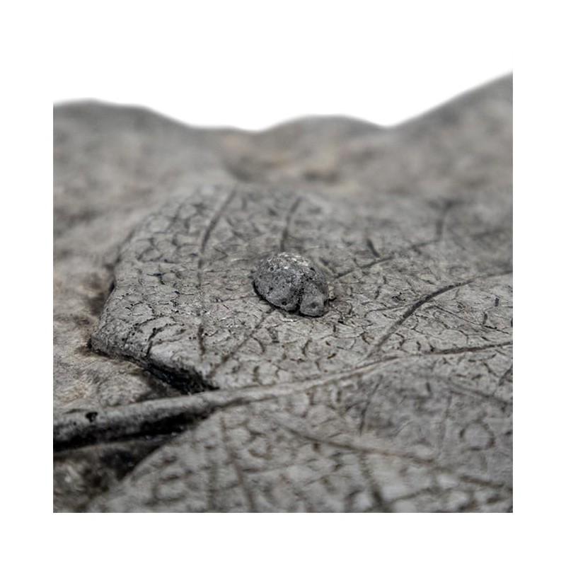 Athens Slate Leaf Bird Bath or Feeder, Pre Aged