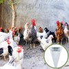 Mumufy 4 Pcs Medium Chicken Cone, Galvanized Steel Poultry Restraining