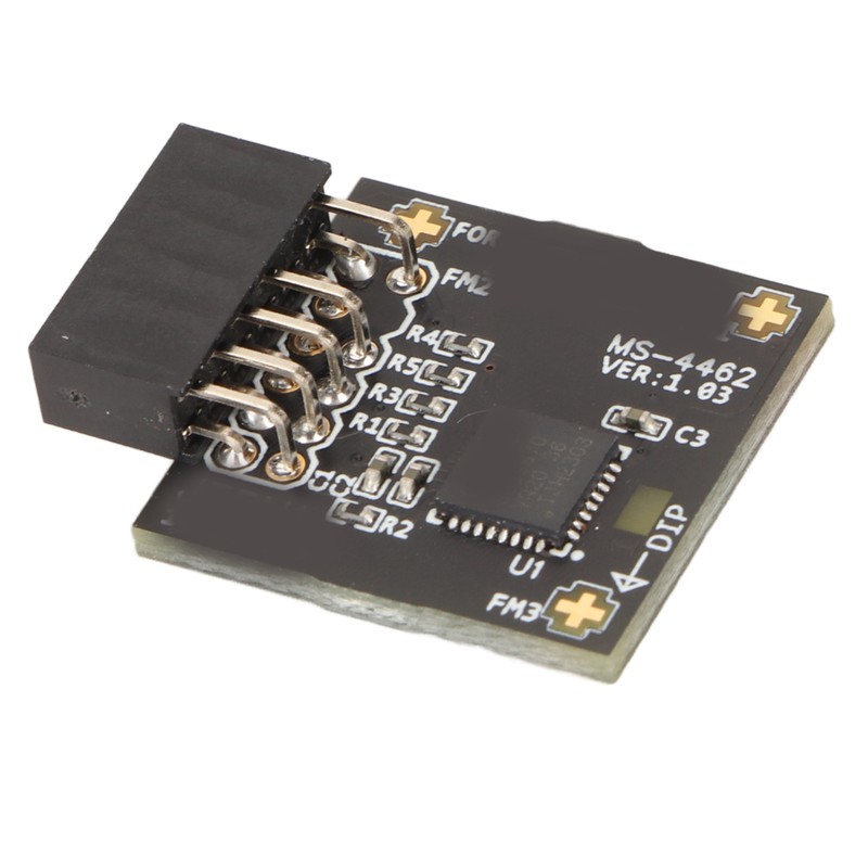 TPM2.0 Module TPM SPI 12Pin Module with SLB 9670 Standalone