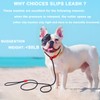 Slip Lead Dog Leash Slip Lead 6 FT Dog Training