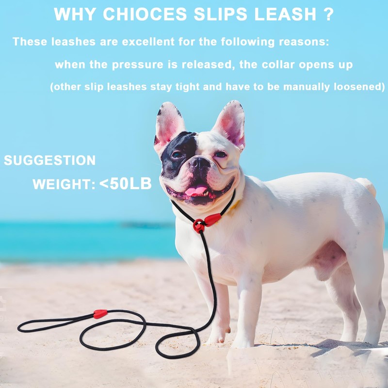 Slip Lead Dog Leash Slip Lead 6 FT Dog Training