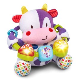 VTech Baby Lil' Critters Moosical Beads , Purple