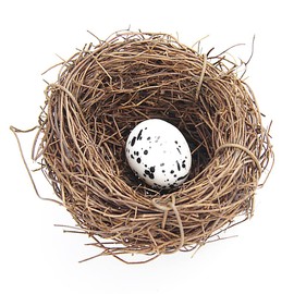Birds Nest, Artificial Bird Nest Birdhouses, Garden Nature Art Craft Fake Bird's Nest Vintage Bird Cage Creative for Easter Spring Decor Optical Store Window Display (6CM)