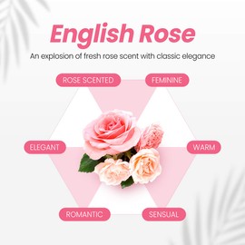 Sulfate Free Honey & Macadamia Keratin Protein Premium Hair Conditioner (English Rose) 16.9 fl oz(500ml)