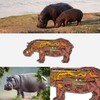 3D Wooden Animal Carving LED Night Light, Wood Carving Light,