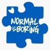 Normal is Boring, Autism Awareness Sticker Decal Vinyl Bumper Stickers