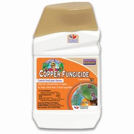 Bonide 8116 Captain Jack's Copper Fungicide Organic Gardening Mildew, Blight & Disease Control, 16 oz. Conc - Quantity 6