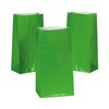 Fun Express - Green Paper Bags for Party - Party