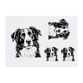 4 x 'Border Collie Portrait' Temporary Tattoos - Water Resistant, Skin-Safe, Non-Toxic Transfers, Mixed Sizes (TO00080726)
