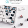 ROYAL KLUDGE RK61 Tri-Mode Wireless Mechanical BROWN SWITCH Keyboard USB24_WBRI