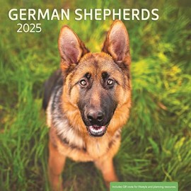 German Shepherd 2025 Wall Calendar - Dog Calendar