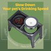 NAHANGPET 2-in-1 Elevated Slow Feeder Dog Bowls for Food and
