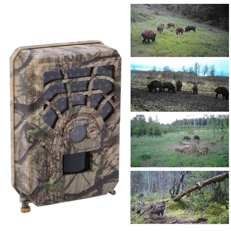 Trail Camera 5MP 2560 X 1440 Waterproof IP56 720P ABS
