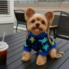 Suéter de 3 piezas para perros pequeños, suéteres suaves para