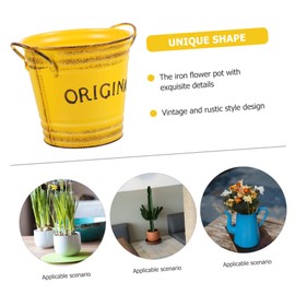 CAXUSD Flower Bucket Handle Metal Planter Rustic Artistic Flowerpot Collapsible Bucket for Dried Flowers