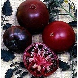 Black Russian Tomato Seed