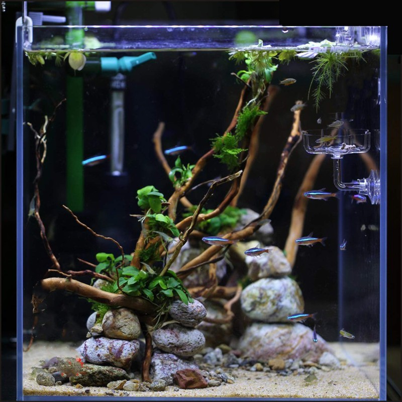 JZMYXA Aquarium Shrimp/Small Fish Feeding Dish Feeder Dish, Acrylic Material,